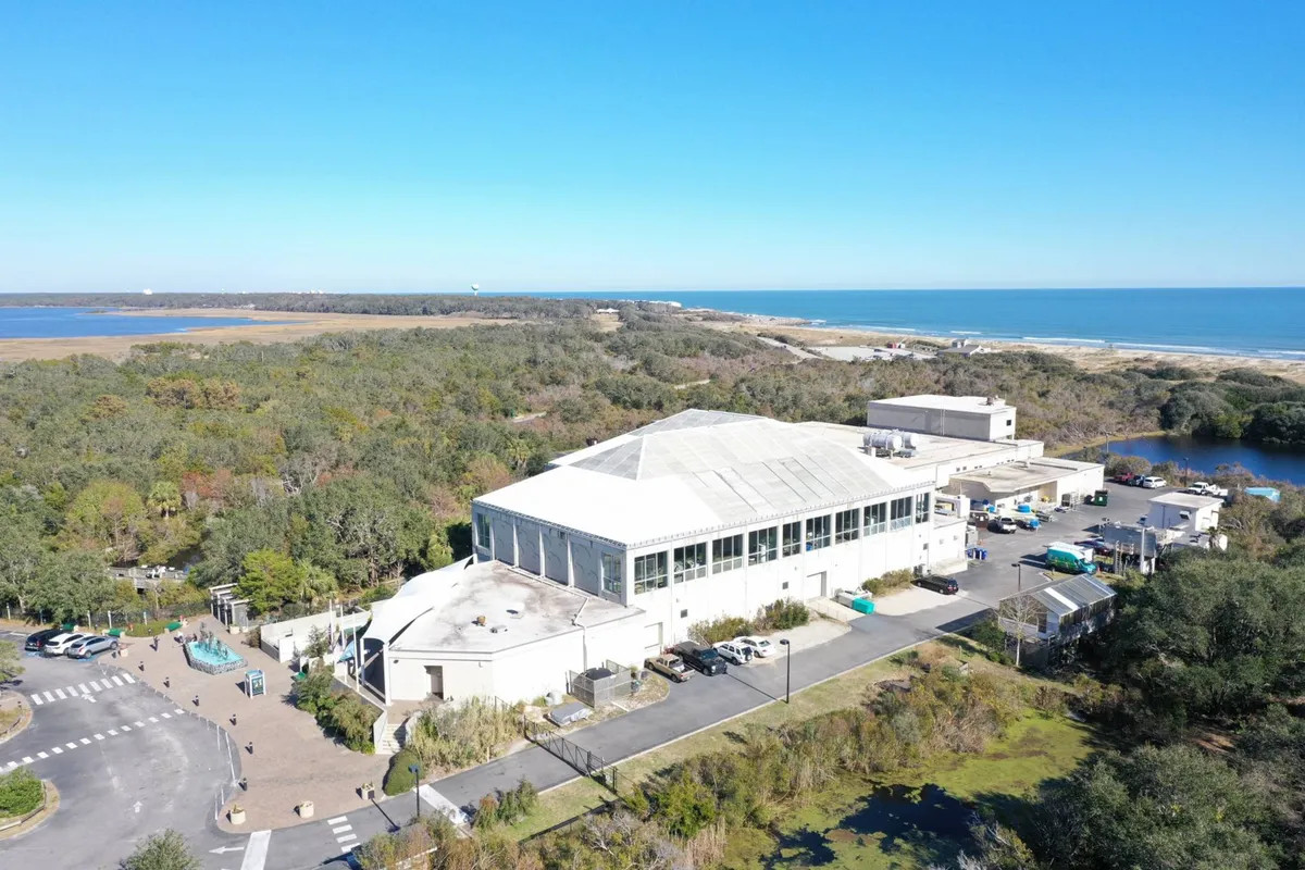 A view of a large building set amidst lush greenery and located near a water body, possibly representing a local attraction like the NC Aquarium at Fort Fisher. The environment feels serene and educational, inviting exploration and learning.